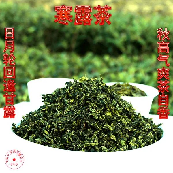 清香型一号铁观音茶叶高山乌龙茶秋茶特级礼盒装小包装