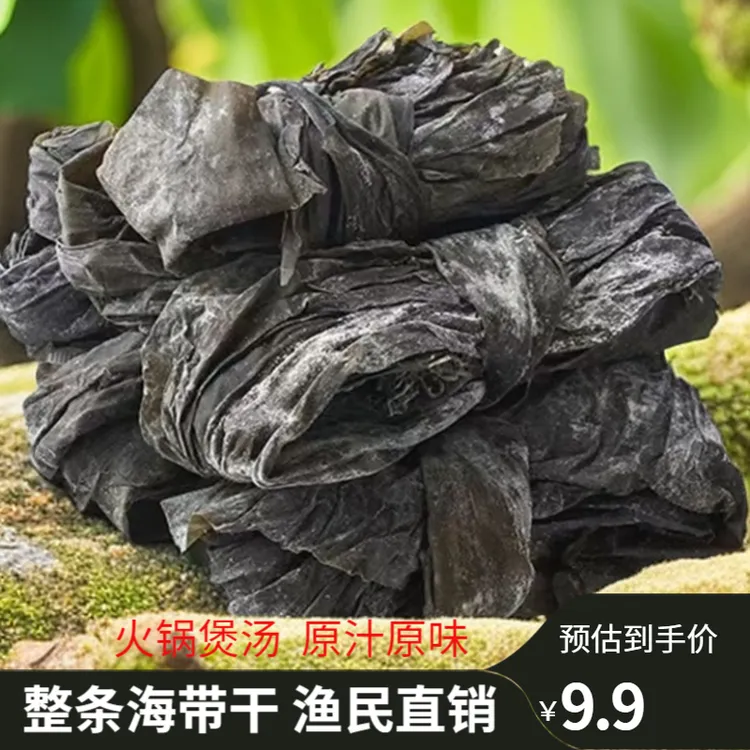 福建霞浦海带干货无沙整条商用批发火锅煲汤凉拌菜食材250g2500g