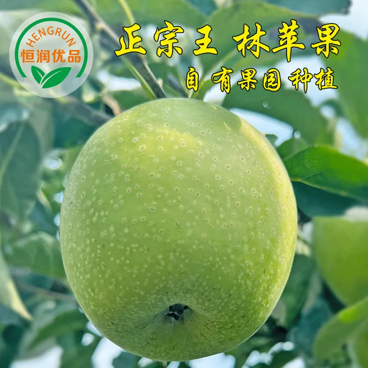 恒润优品正宗王林苹果产地发货新鲜应季雀斑美人青苹果4.5斤起