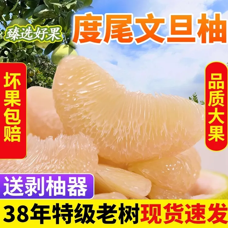 福建度尾文旦柚老树果当季水果现摘白心红心柚子蜜柚时令新鲜水果