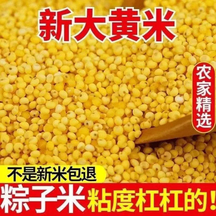 东北农家新糜子大黄米软糯小米江米软米粘米年糕黏米包粽子专用藜