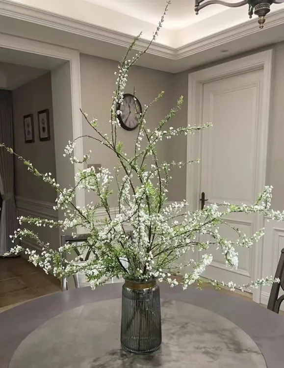 【新疆包邮】东北干支雪柳枯木逢春遇水则活爆花机器