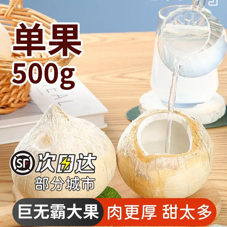 泰国进口奶香椰皇丹嫩沙多香水煲鸡汤老椰子孕妇新鲜水果包邮顺丰