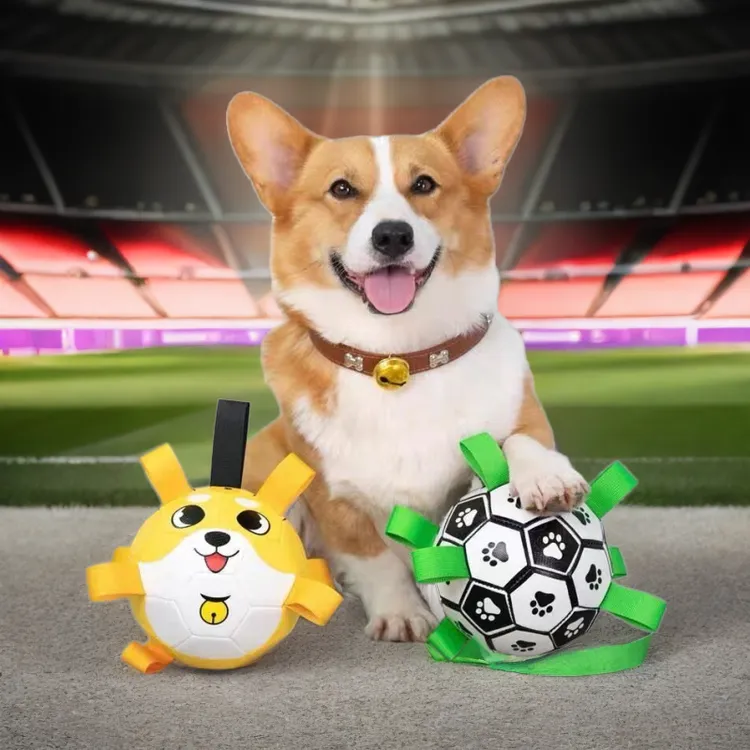 球球宠物玩具柴犬足球泰迪柯基柴狗狗足球绳子互动弹力球解闷神器