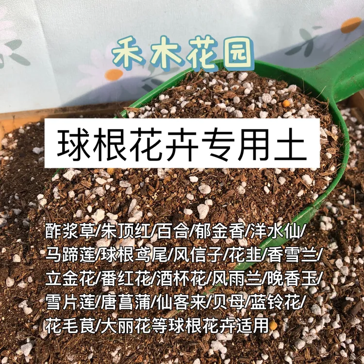 球根花卉营养土 朱顶红大丽花鸢尾酢浆草郁金香百合风信子通用土