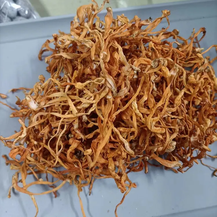  活动干菌汤包虫草花干货煲汤料