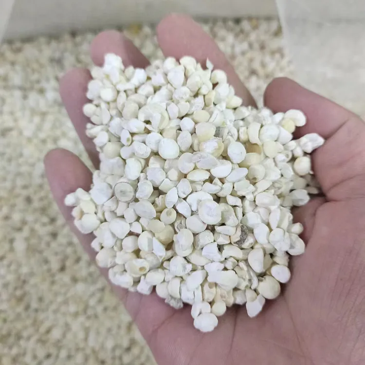 苏州芡碎苏芡 鸡头米鲜干货 苏芡碎颗粒清香农产品 