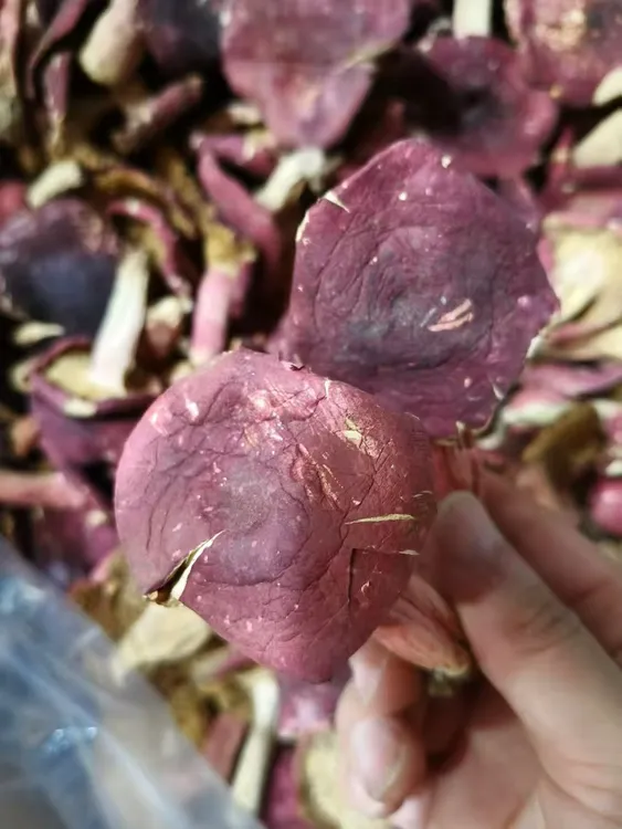 2025新菇河南红菇菜菇卤面菇