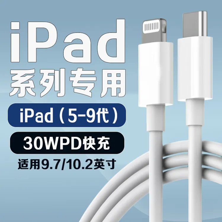 适用苹果iPad9 原装充电器线PD快充平板ipad 5 6 7 8充电器头正品