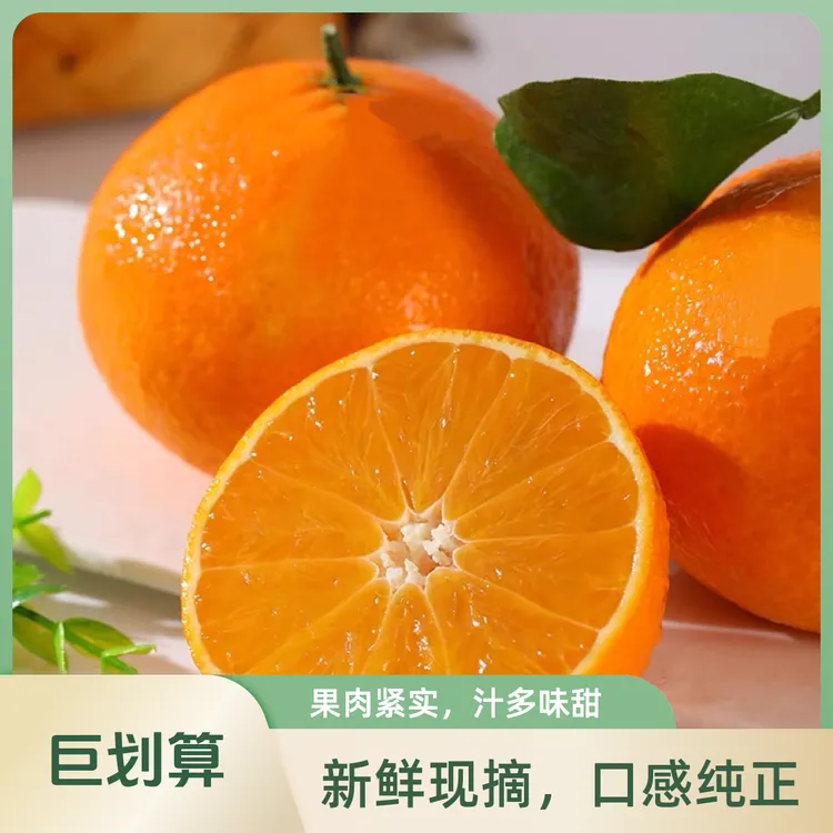 正宗红美人家庭装大中小果爱媛28号现摘现发五斤装