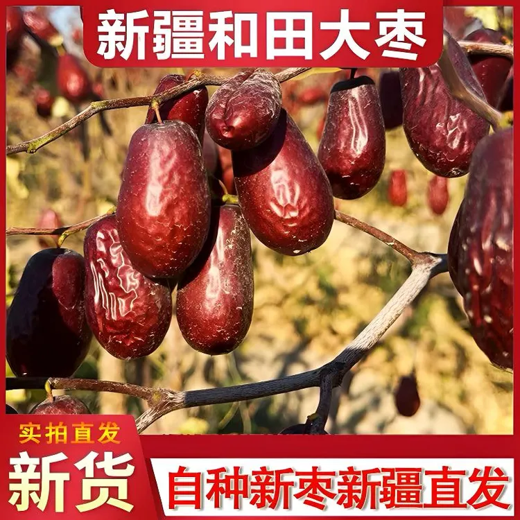 新疆和田大枣熬粥泡茶新枣新疆直发自产喜枣孕枣特产干果干货零食