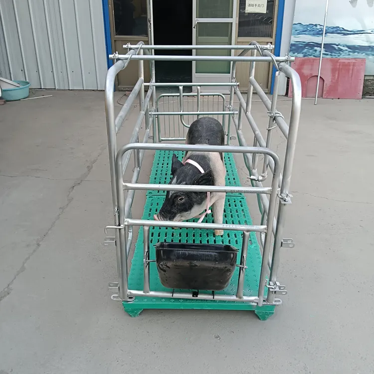 猪用产床落地加板猪床落地加板限位栏产床限位一体栏