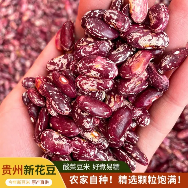 贵州今年新花豆农家自种花豆