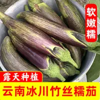云南竹丝糯茄 茄子 冰川茄子 露天种植 现摘现发