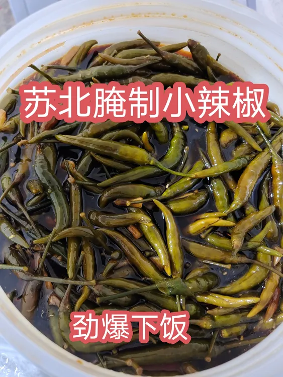 【豆妈优选】苏北特产  腌制小辣椒  劲爆下饭