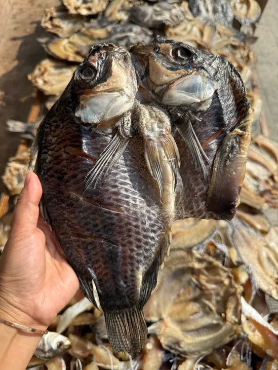 [罗非鱼干] 彩妹甄选腊鱼干清蒸好吃包邮