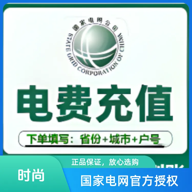 全国国网电费充值缴纳48小时内充值到账100面值
