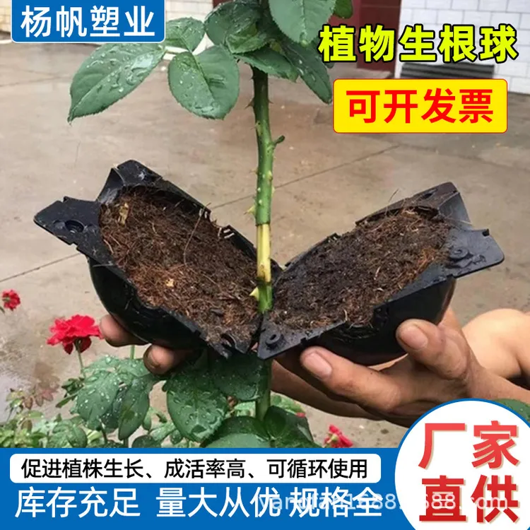 【新疆包邮】植物繁殖高压盒扦插嫁接生根盒