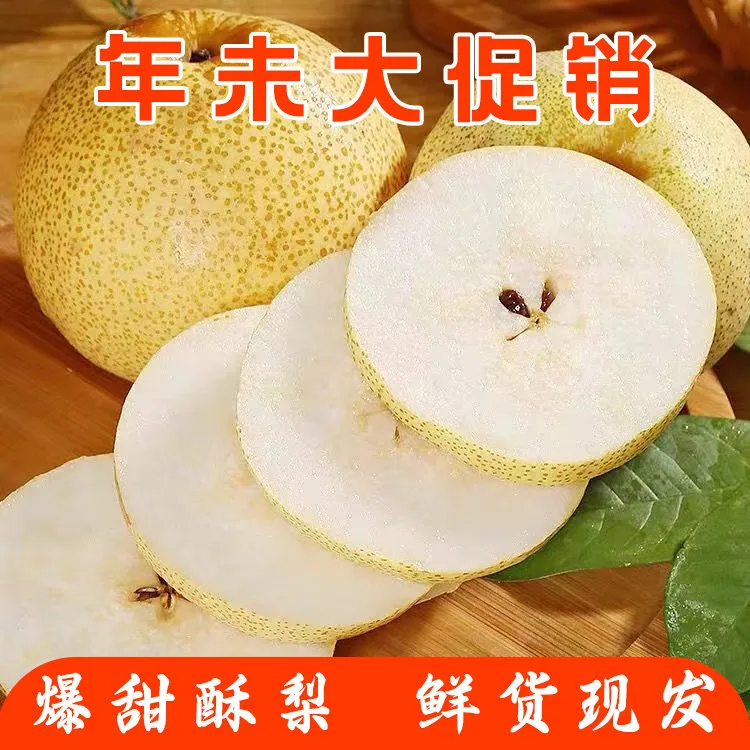 爽口酥梨9斤新鲜水果雪花梨脆甜皮薄多汁梨膏5斤包邮整箱直供