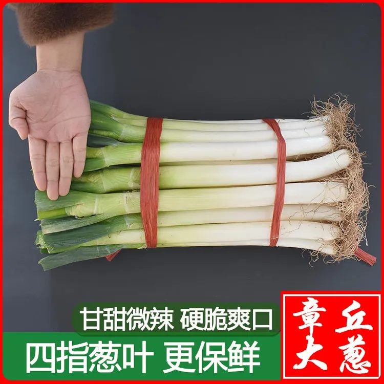 【四指葱】章丘大葱山东新鲜大葱3/5/10斤装批发蘸酱精甄选蔬菜甜脆商品图