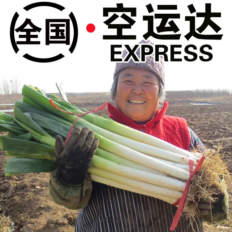 山东大葱5/10斤装正宗铁杆大葱蘸酱脆甄选甜章丘葱健康精新鲜蔬菜商品图