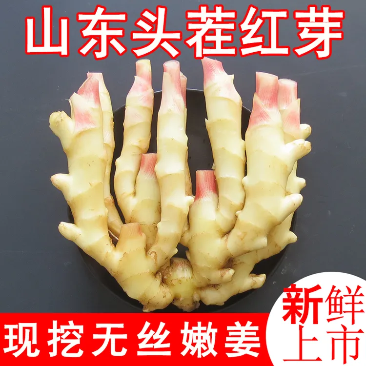 山东鲜姜嫩姜仔姜现挖新鲜生姜红芽1/3/5斤腌制泡菜子姜糖醋蔬菜