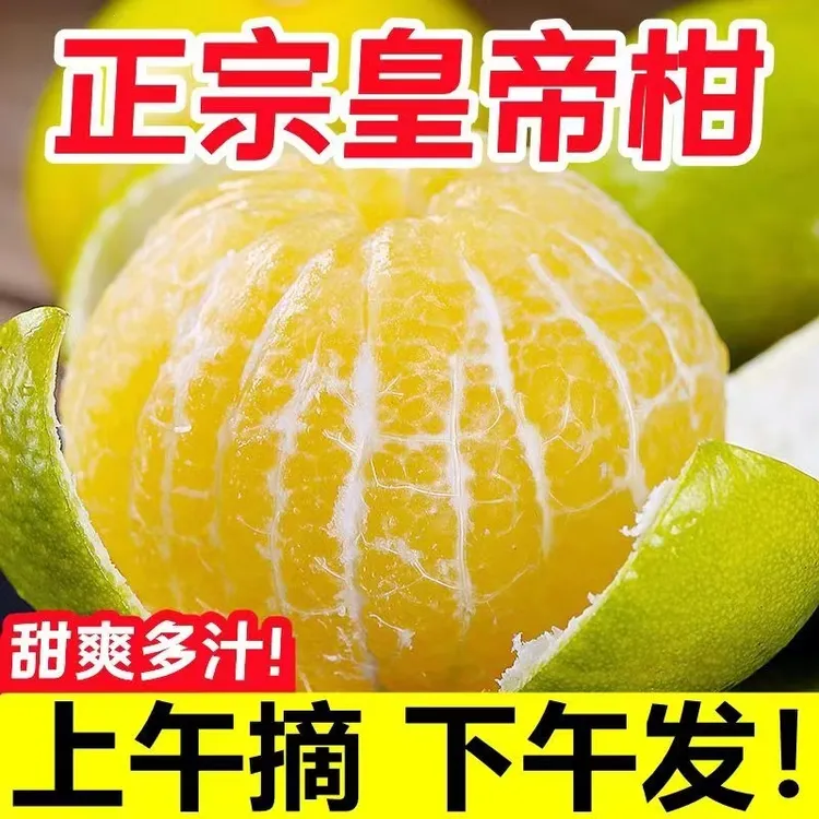 广西正宗武鸣皇帝柑新鲜水果当季桔子整箱包邮贡柑纯甜橘子黄帝柑