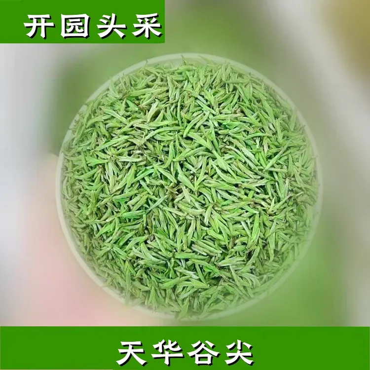 2025太湖全芽天华谷尖剑豪翠兰绿茶叶春茶嫩芽毛峰礼盒装特级250g
