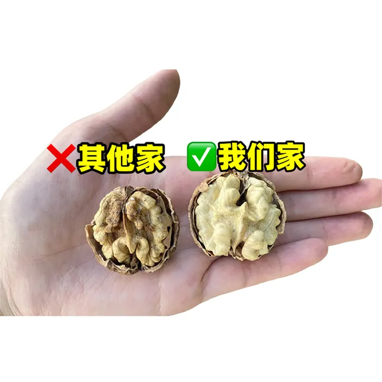 2024新货云南大理老树薄皮无漂洗孕妇小孩零食干核桃500g