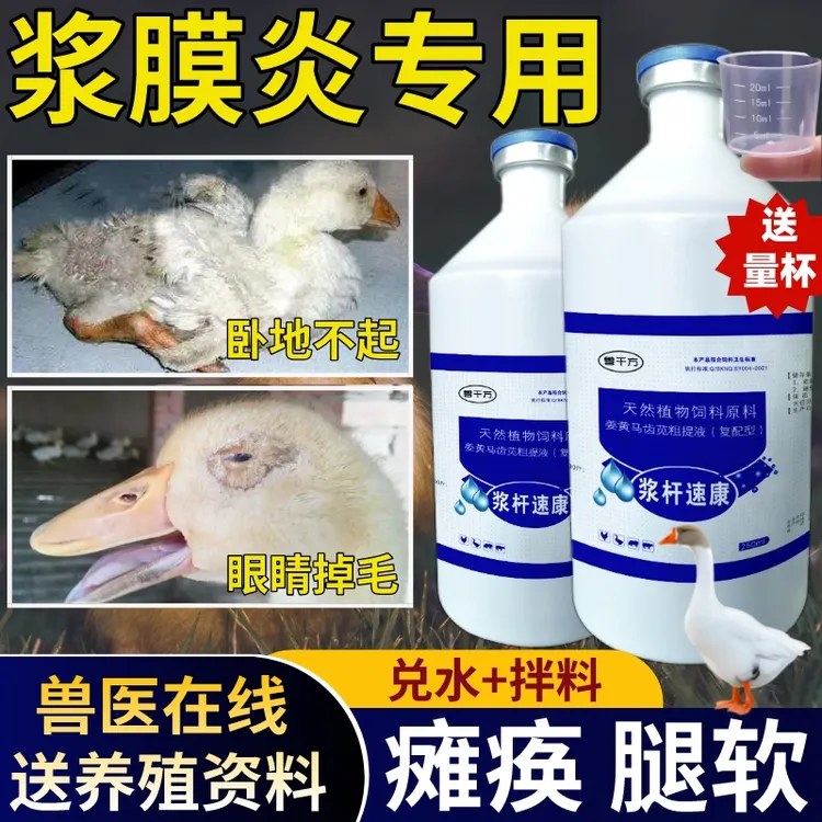 鸭鹅浆膜炎卧地不起关节疙瘩大肠杆菌瘸腿软瘫痪预防疫家禽养殖