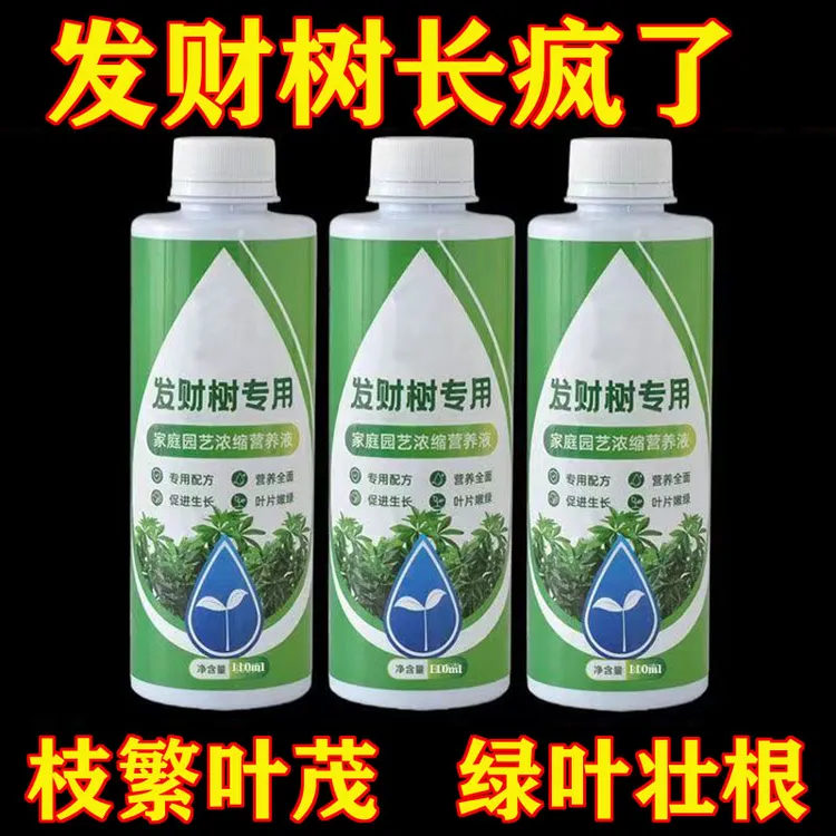 发财树专用营养液植物营养液烂根专用肥水培黄叶适用液体养花肥料