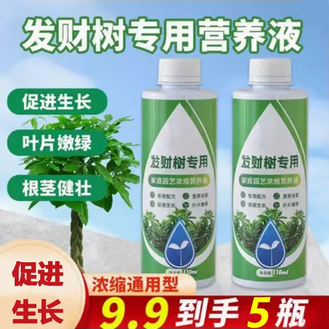 抢！【到手5瓶】发财树营养液专用肥料水培绿植通用预防黄斑黄叶掉叶