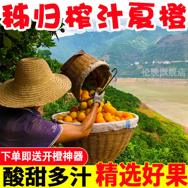 湖北宜昌秭归榨汁夏橙新鲜采摘皮薄酸甜多汁 净重3/5/9斤