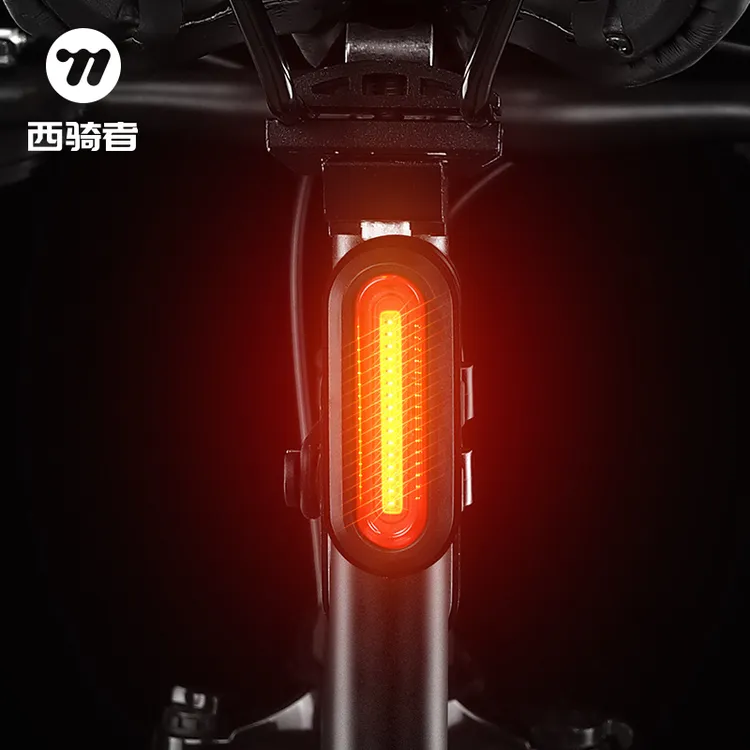 西骑者自行车灯高亮夜间后警示尾灯山地车可充电强光夜骑灯装备