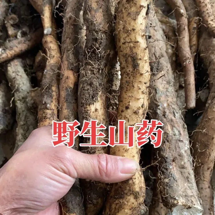 贵州高山野生山药豆腐