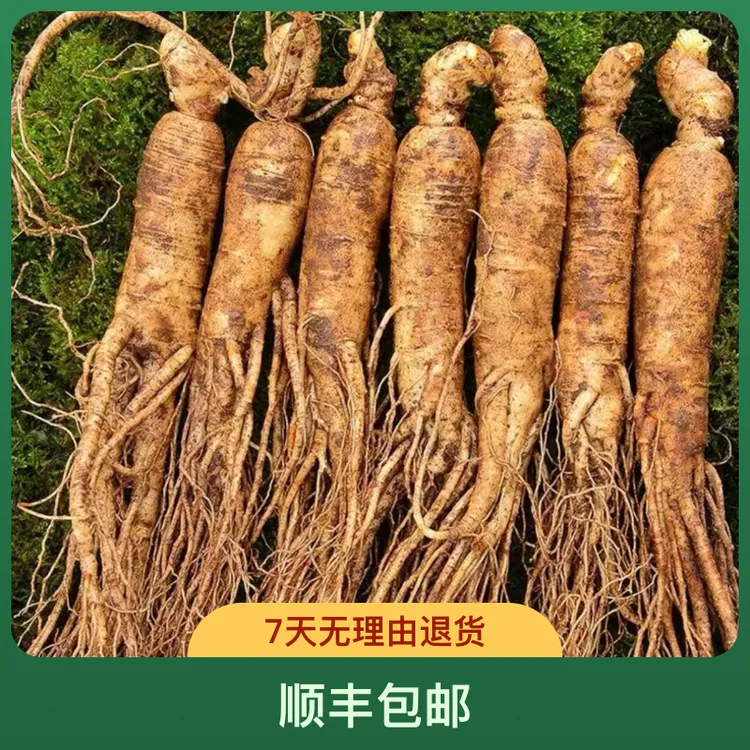 精选长白山新鲜人参 煲汤  泡酒 