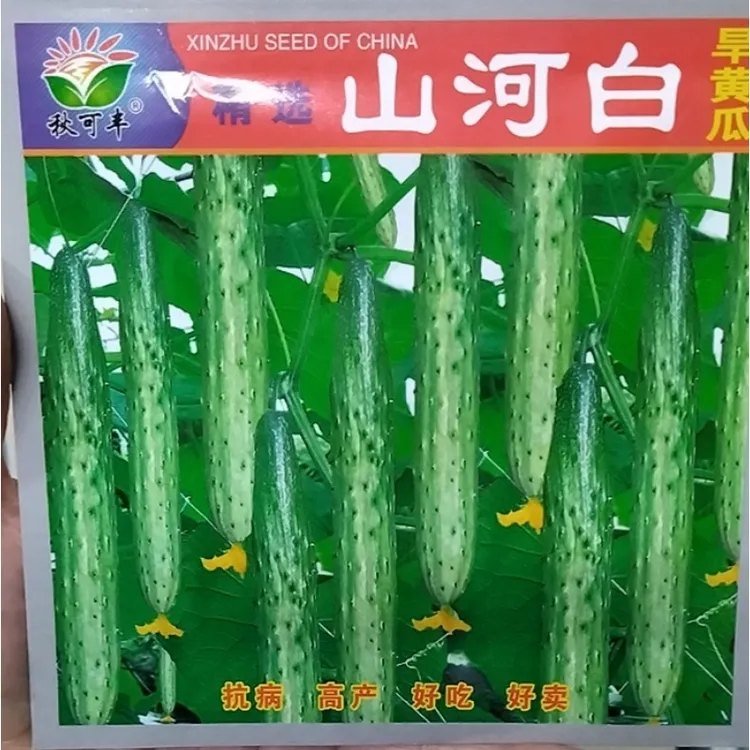 山河白旱黄瓜籽种子山河白旱黄瓜籽山河白黄瓜蔬菜菜种子黄瓜种子
