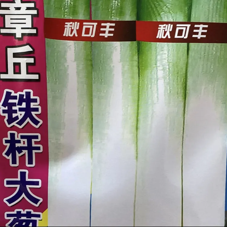 秋可丰章丘铁杆大葱籽
