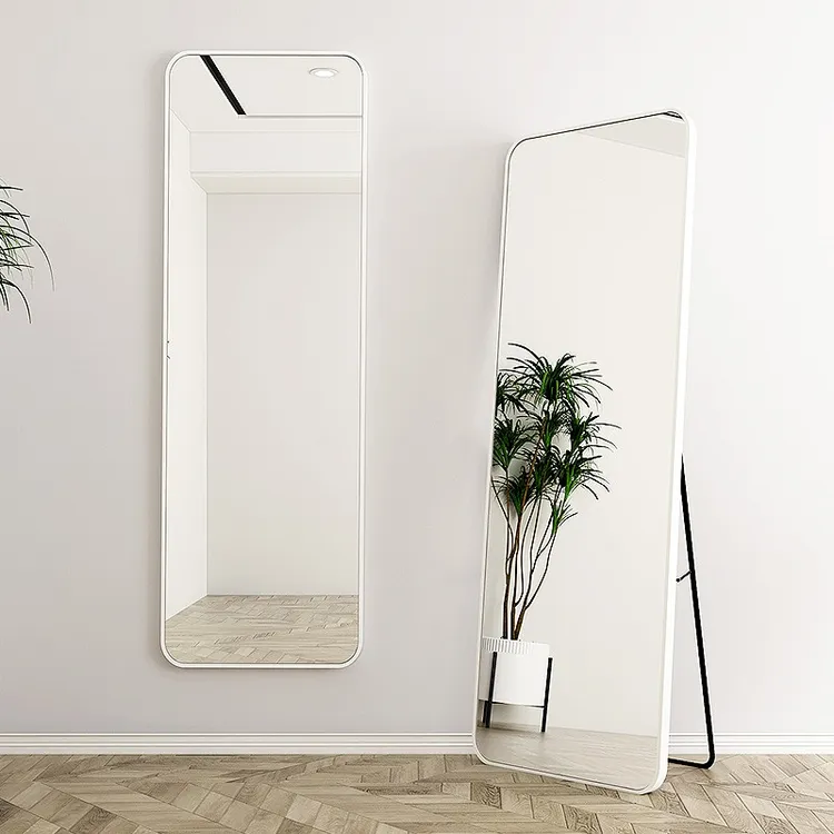 网红全身服装店落地镜两用简约试衣镜玄关卧室家用学生宿舍立体镜