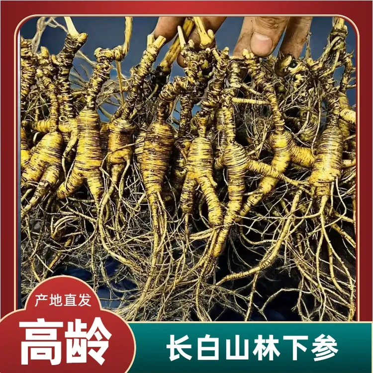 正宗高龄长白山林下参籽货山参泡酒人参煲汤自用新鲜人参野山人参