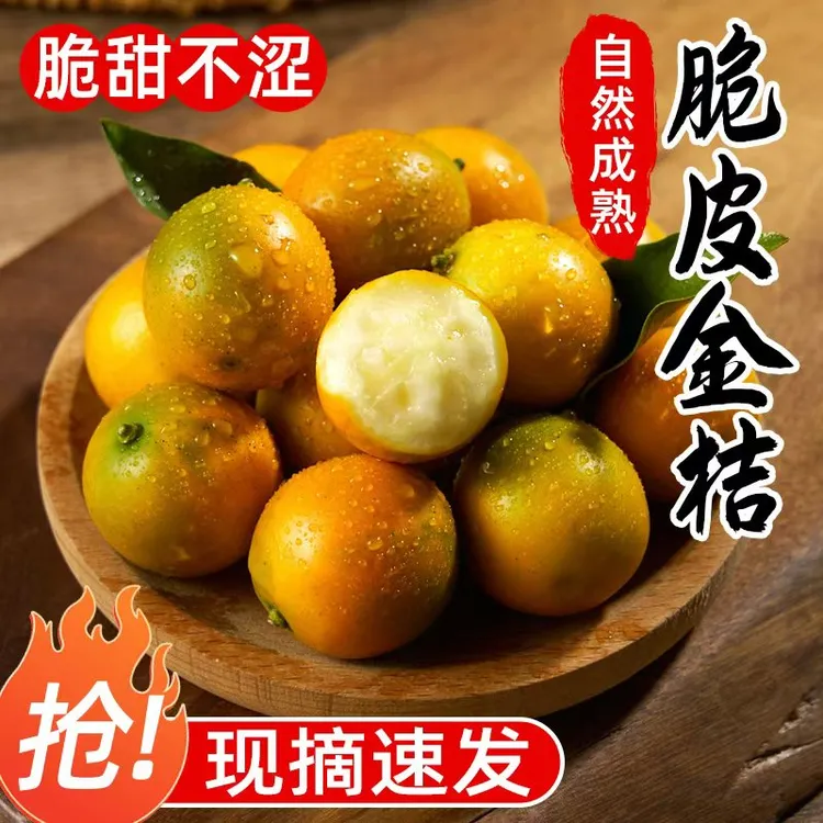 树底捞礼盒【融安发货】第二代纯甜广西融安金桔纯甜薄皮当季新鲜果