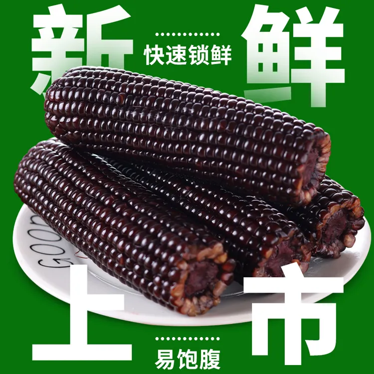 【试吃两根】2024东北黑糯玉米蓝莓糯软糯香甜整箱7斤12根