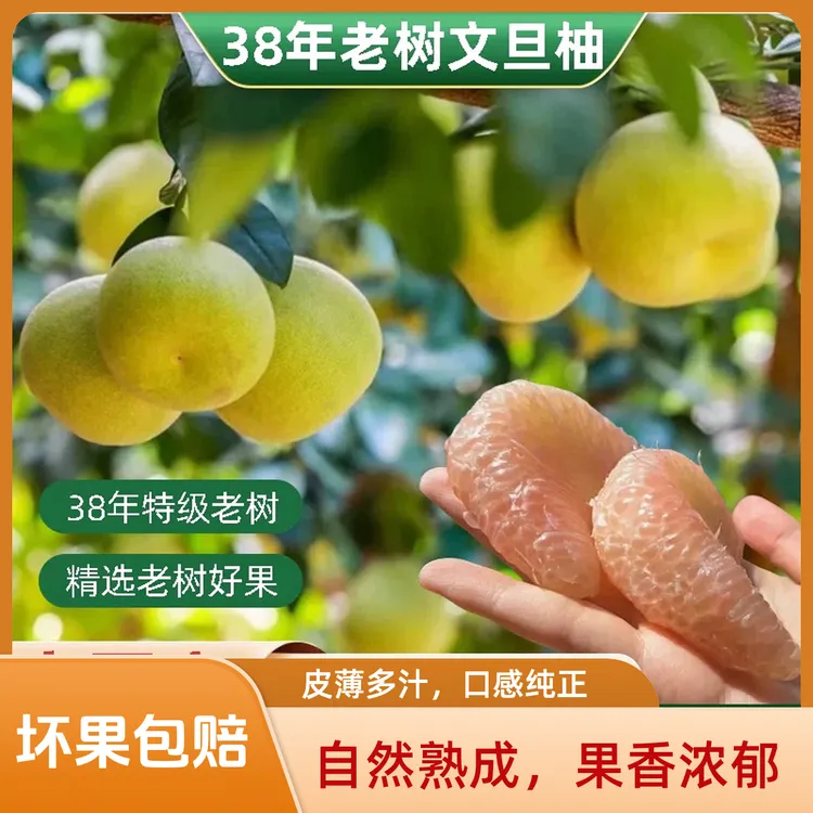 正宗福建仙游度尾文旦柚红心老树柚子应季时令水果果园现摘现发