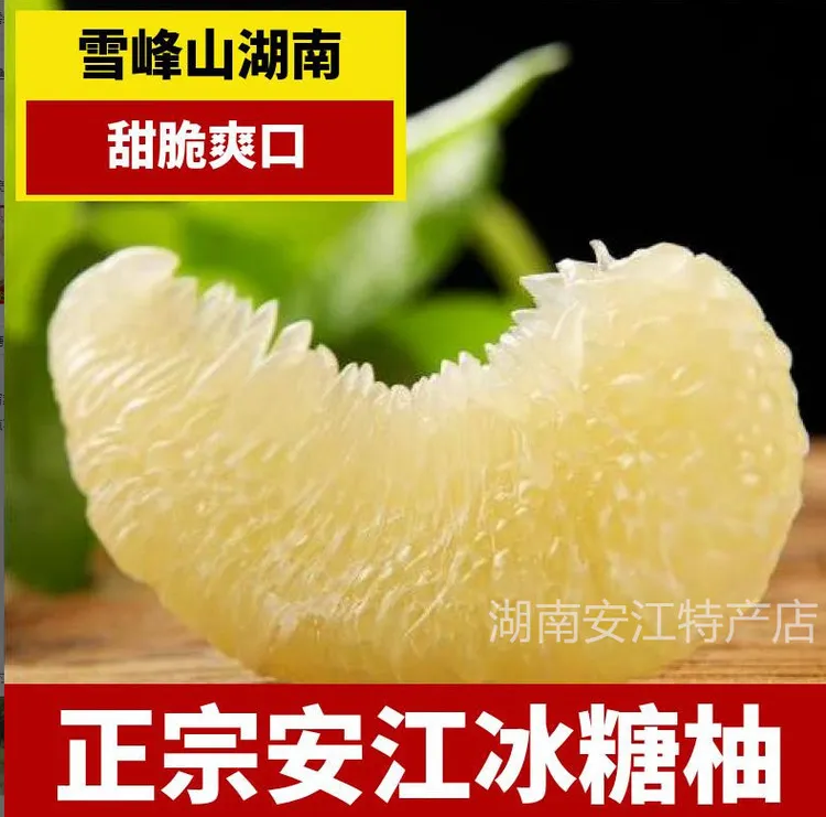 湖南雪峰山安江冰糖柚2斤4斤9斤多汁饱满香甜柚子清爽好吃爽口