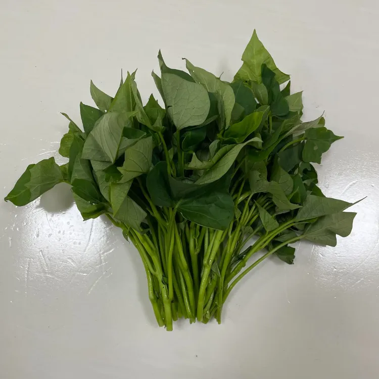 【合和甄选】供销合作农场 现摘现发 台农7番薯叶/小白菜5斤起包邮