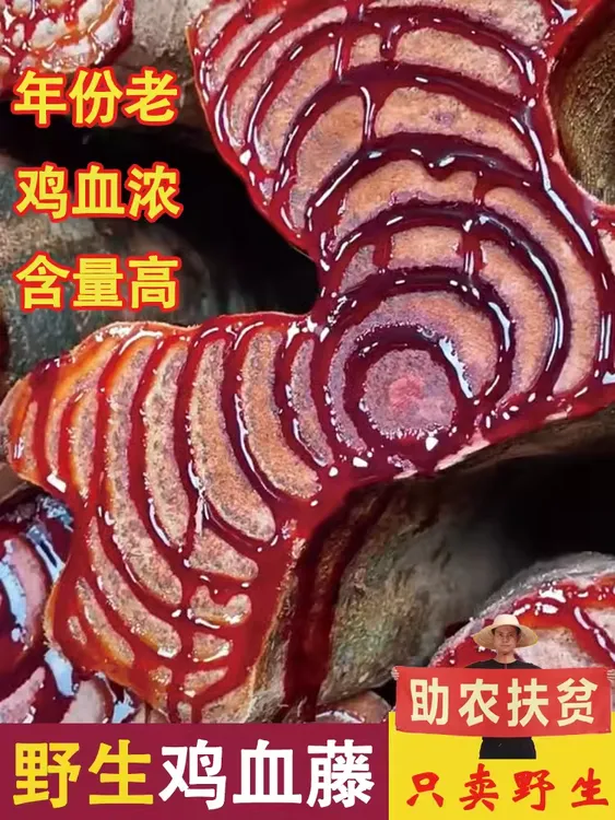 广西泡酒野生鸡血藤正宗深山老藤天然晒干圈多包邮煮水喝