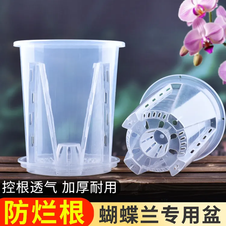 水苔蝴蝶兰专用花盆透明青山控根盆加厚大号透气兰花塑料花盆家用