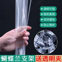 蝴蝶兰支架夹子透明专用固定爬藤类造型防倒伏园艺花卉植物支撑杆