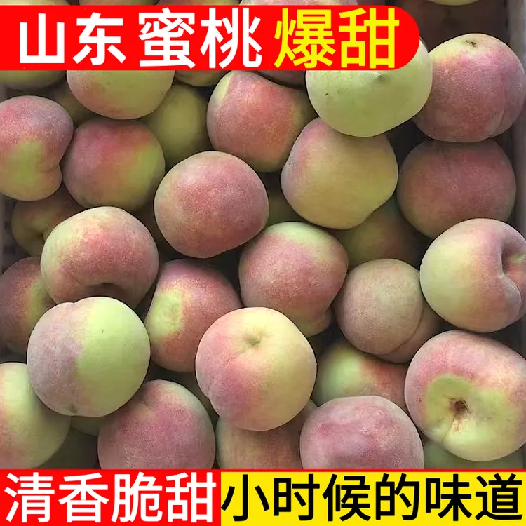 山东蜜桃冬桃毛桃桃子青州蜜桃非水密桃果园直发新鲜水果5斤3斤装