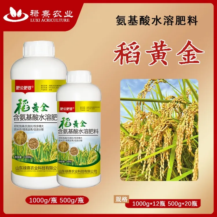 稻黄金水稻控旺高产分蘖缩节籽粒饱满灌浆专用肥